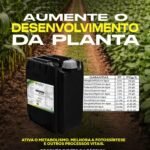 WhatsApp Image 2026-04-02 at 21.10.35 (1)