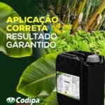 WhatsApp Image 2026-04-02 at 21.10.35 (3)